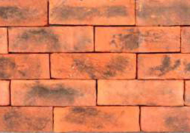 Solid Bricks Coimbatore